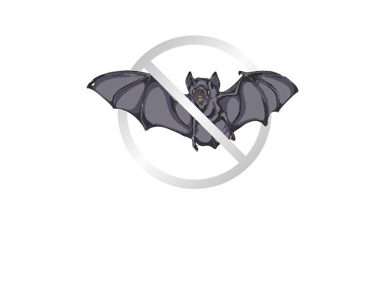 ikona kategorie Zábrany proti netopýrům